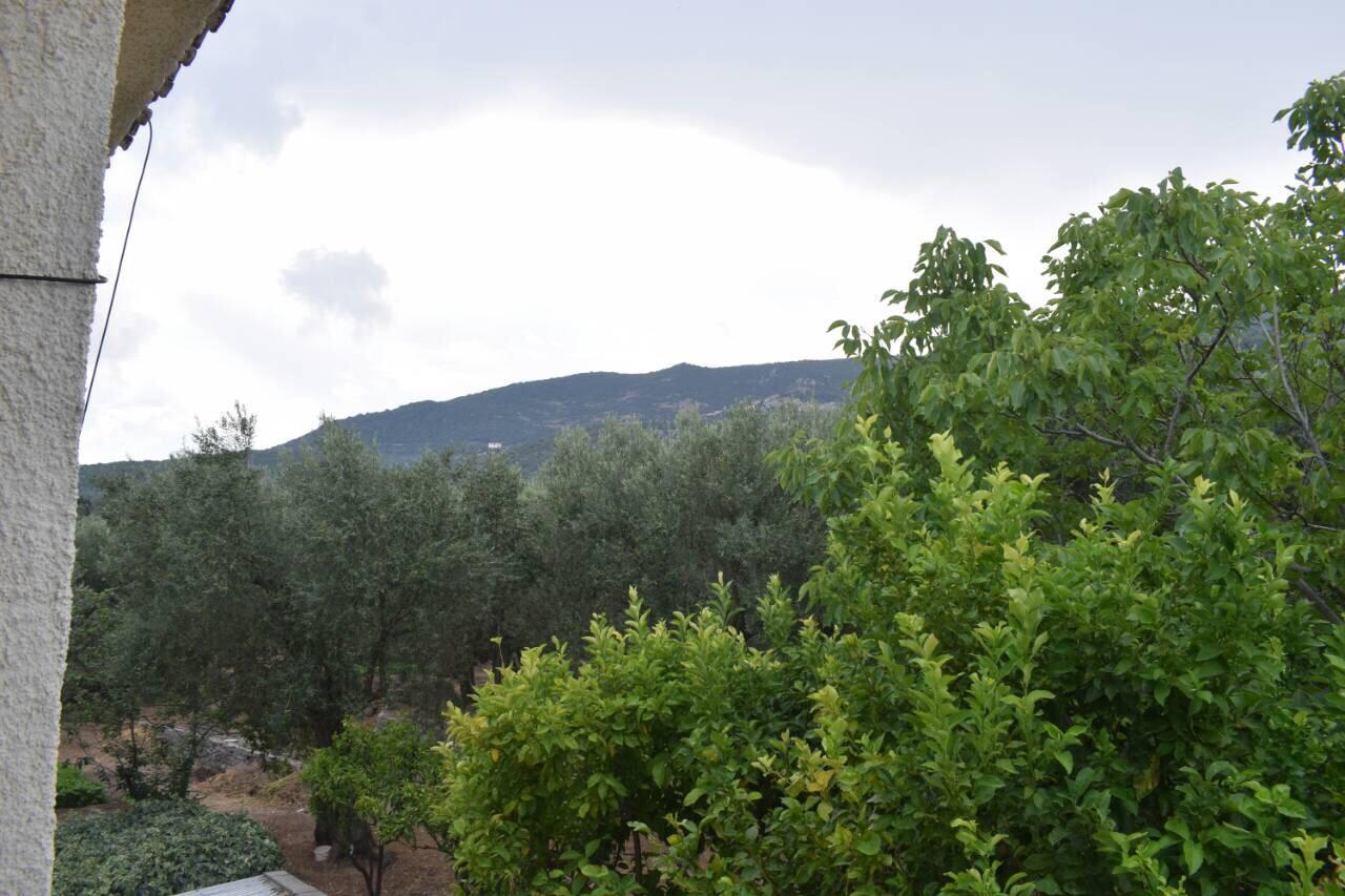 Rooms To Let To Kyma Skala Sikamineas Skala Sykamineas Экстерьер фото