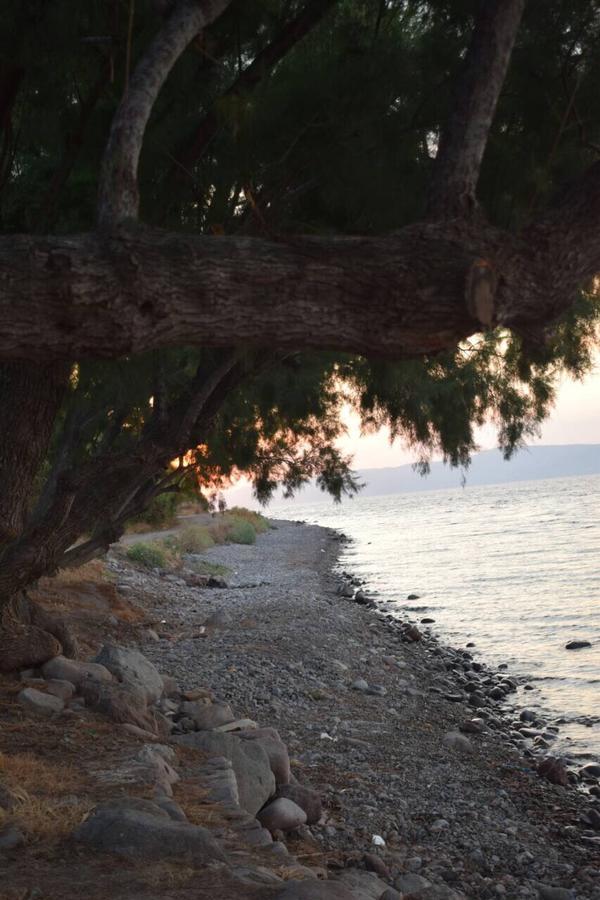 Rooms To Let To Kyma Skala Sikamineas Skala Sykamineas Экстерьер фото